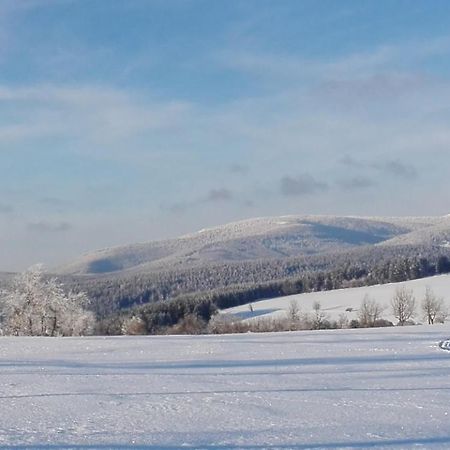 Rodinny Apartman 3+1 Horni Mesto Bagian luar foto