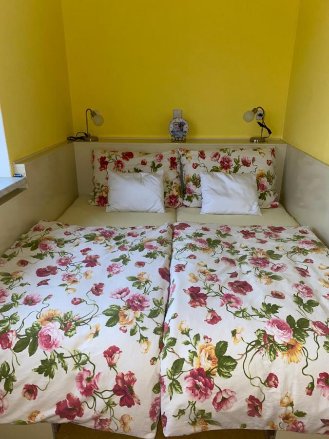 Rodinny Apartman 3+1 Horni Mesto Bagian luar foto